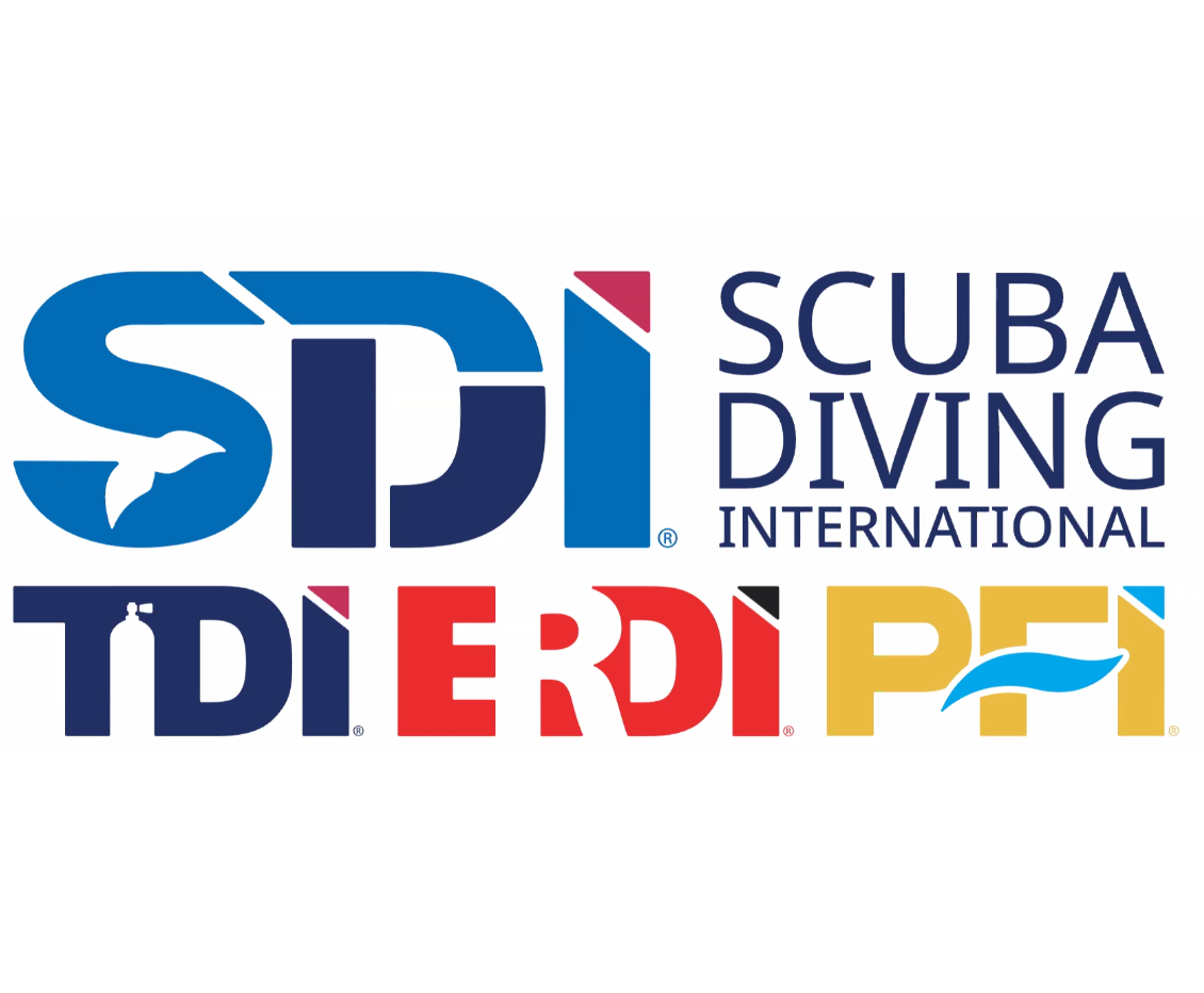 SDI Scuba Diving International